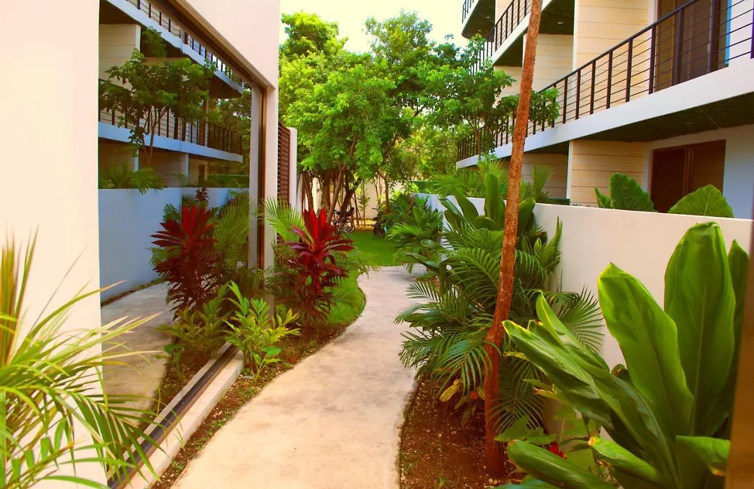 Brava Towers - Luxury Studios-1