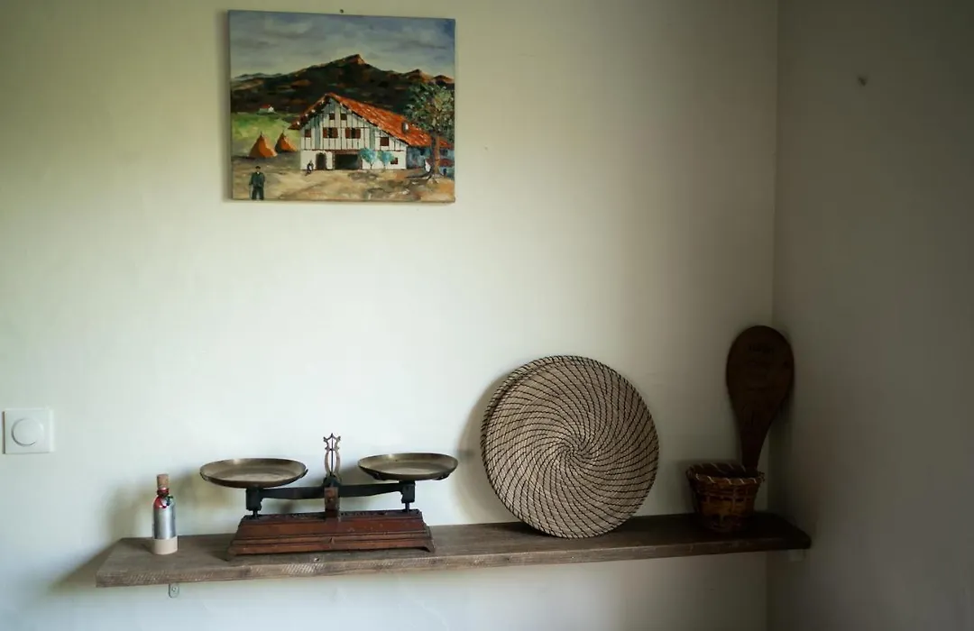 Chambres d'Hôtes Irazabala-1