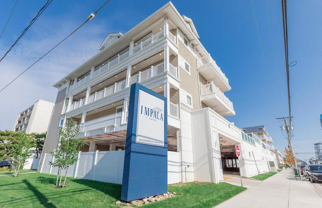 Impala Suites-1