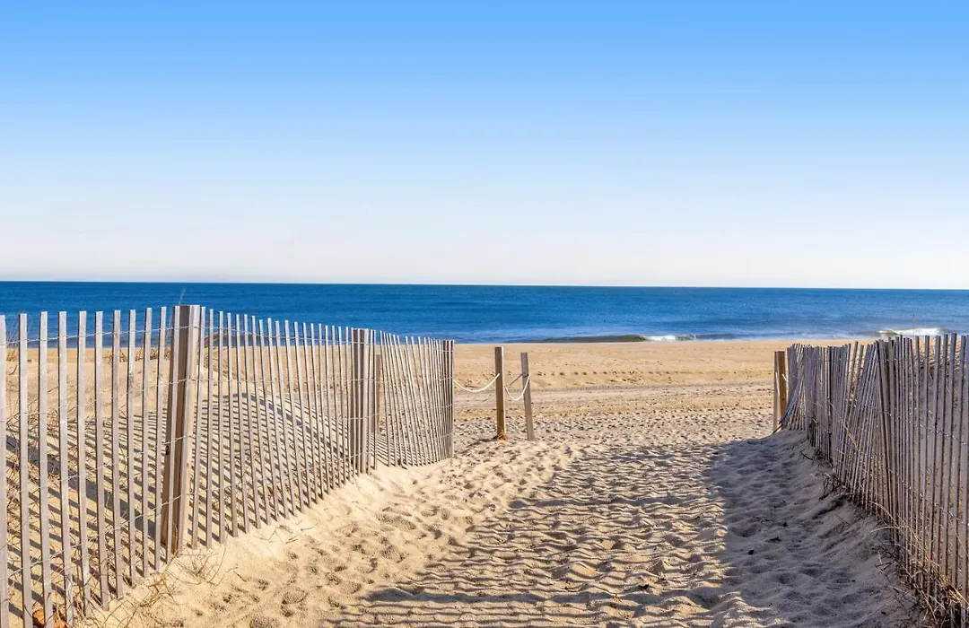 Salty Sands-1