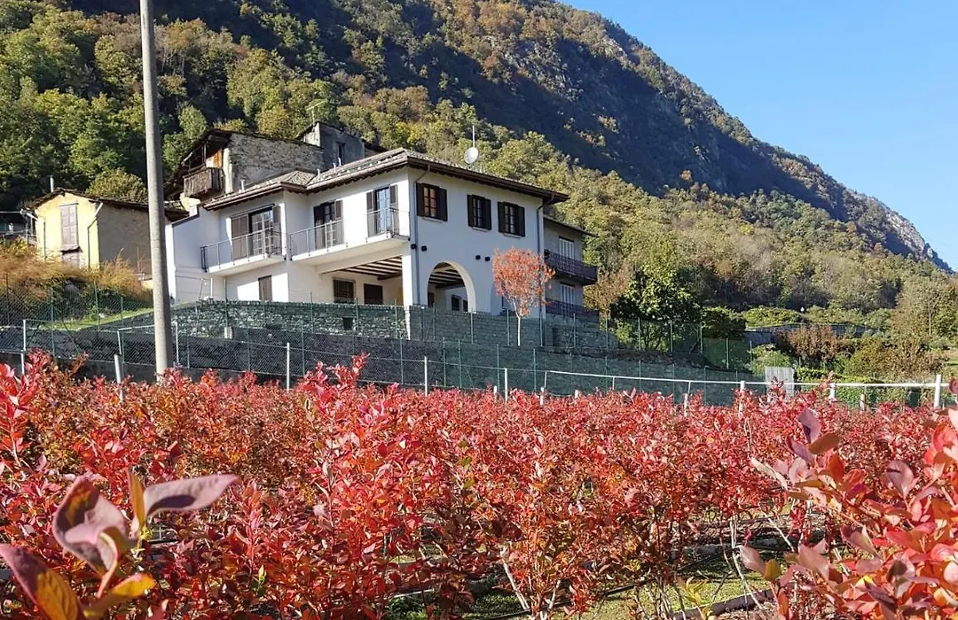 Guest House Le Cassandre-1