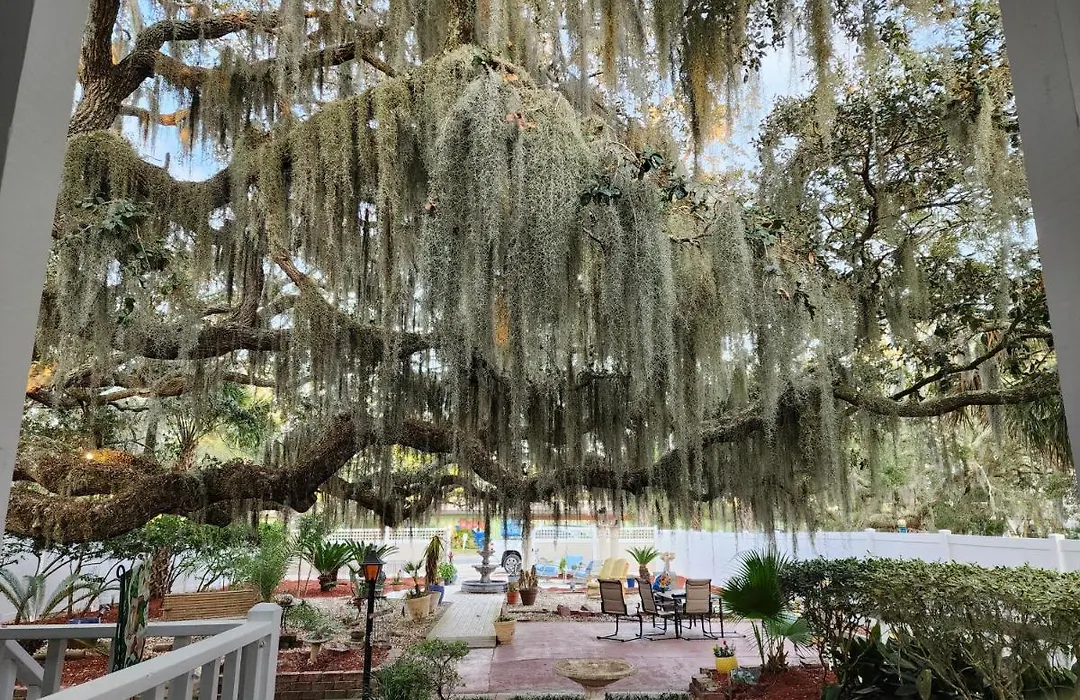 Tybee Island Inn Bed & Breakfast-1