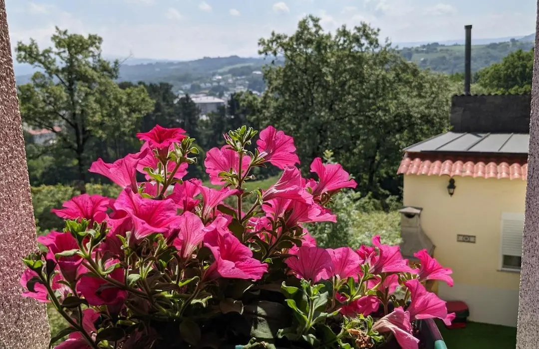 Sleeping Sarria-1