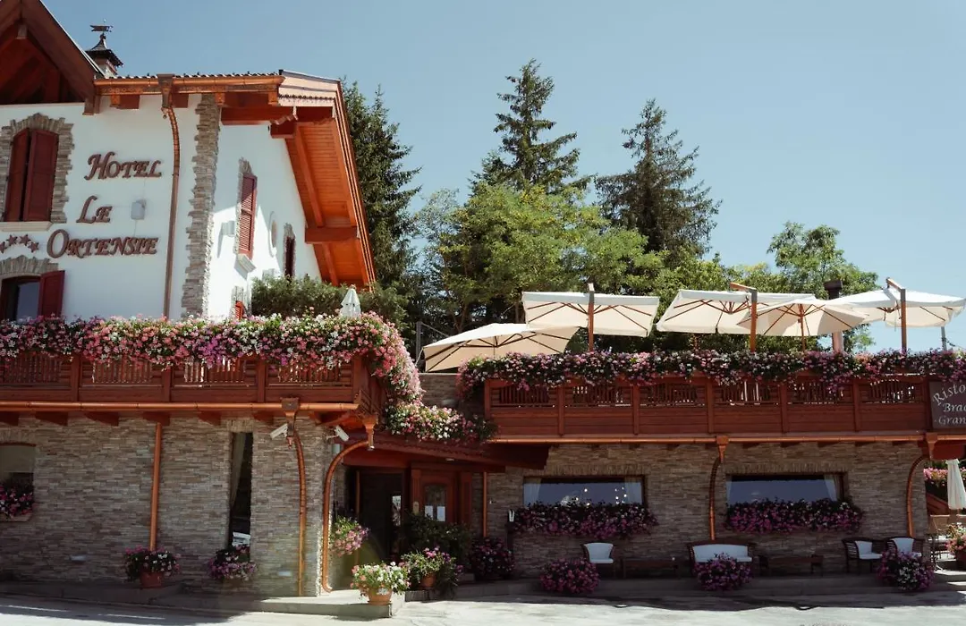 Hotel Le Ortensie-1