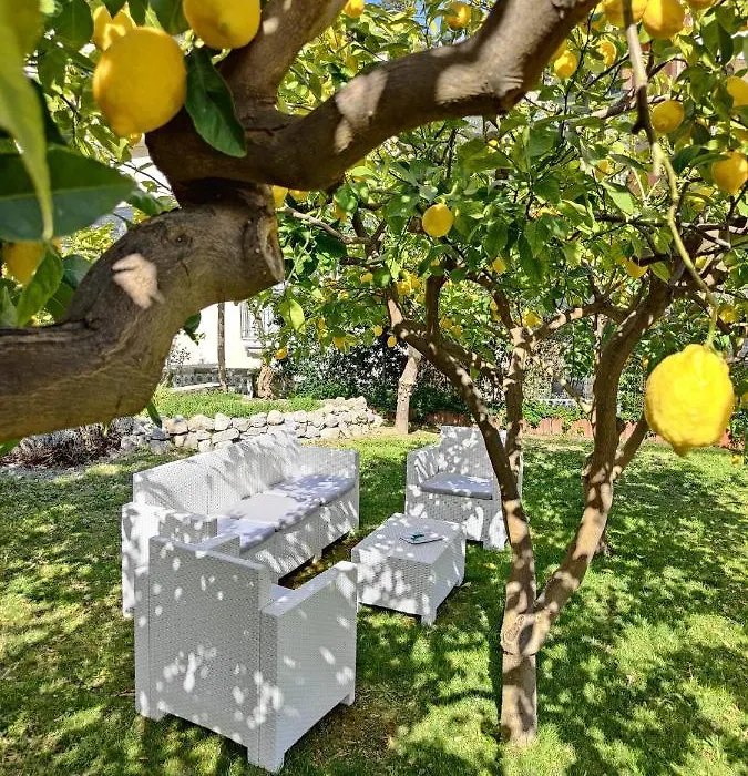 Casa Amorino-1