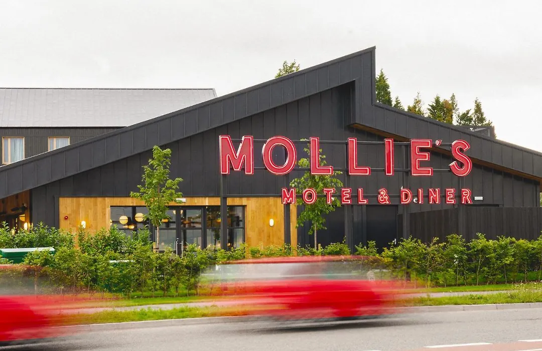 Mollie'S Bristol-1