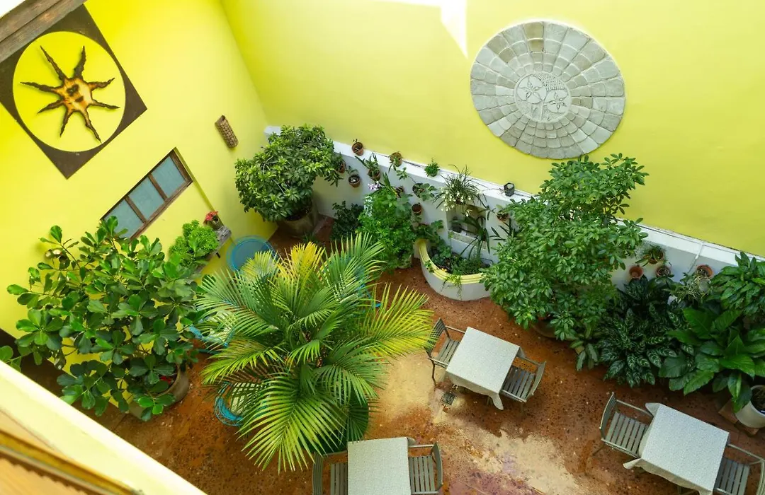 Casa Sol Bed And Breakfast-1