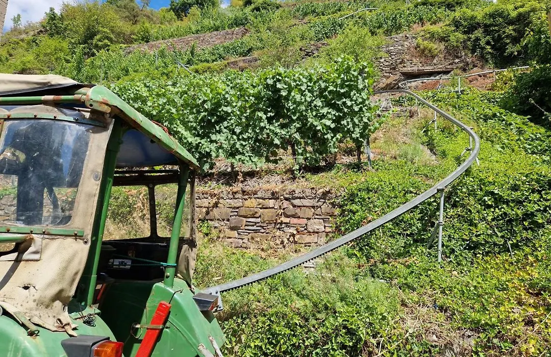 Weingut Haxel-1