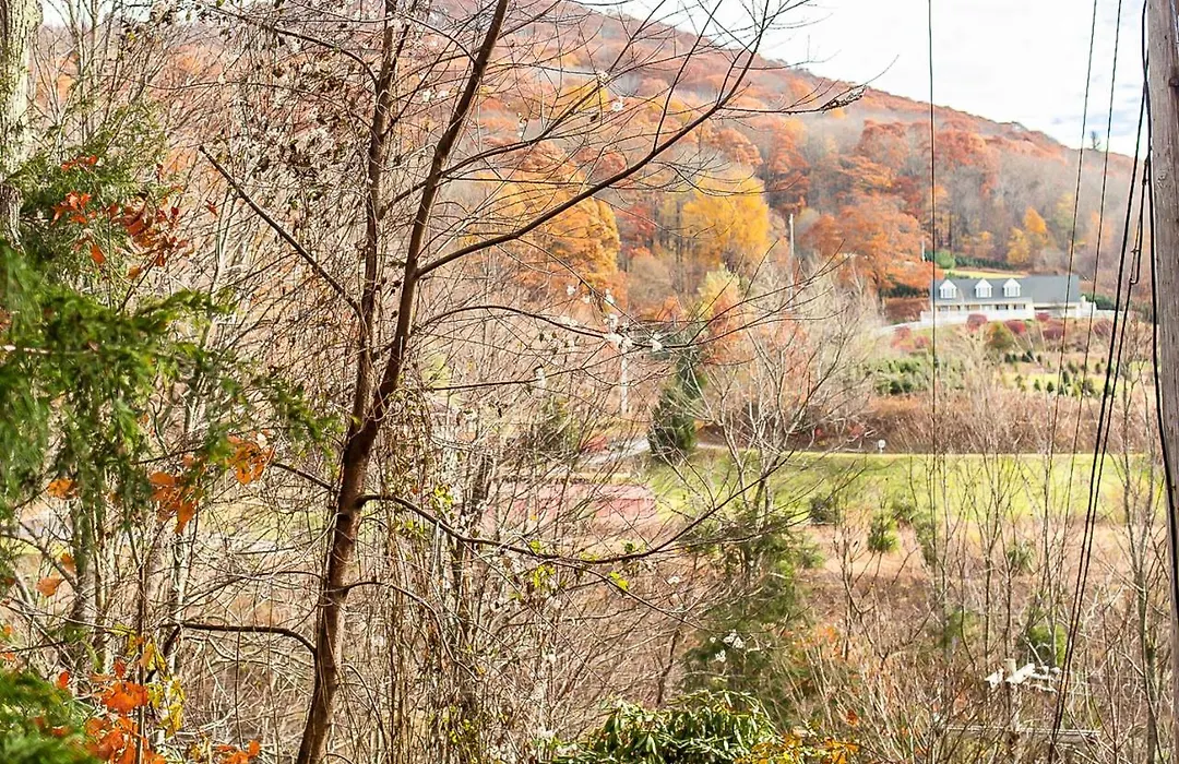 Sugar Mountain Serenity-1