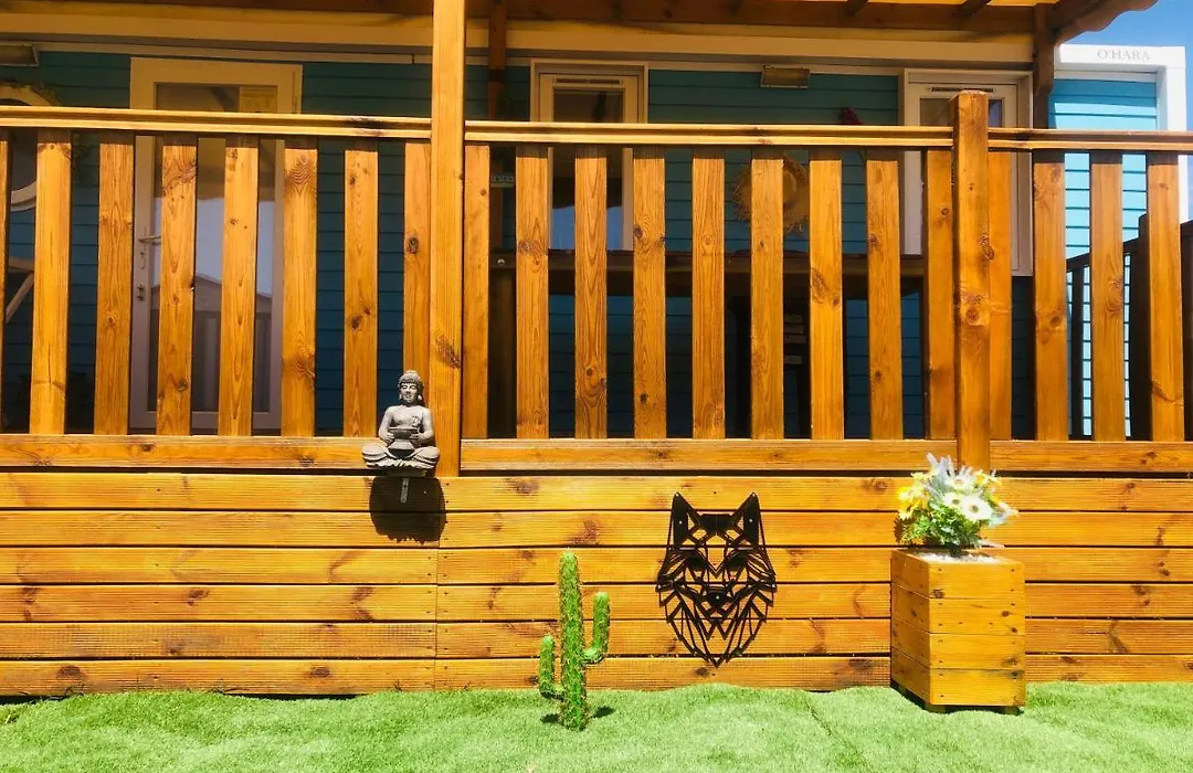 Mobil Home Dans Camping 4* Acces Direct Plage-1