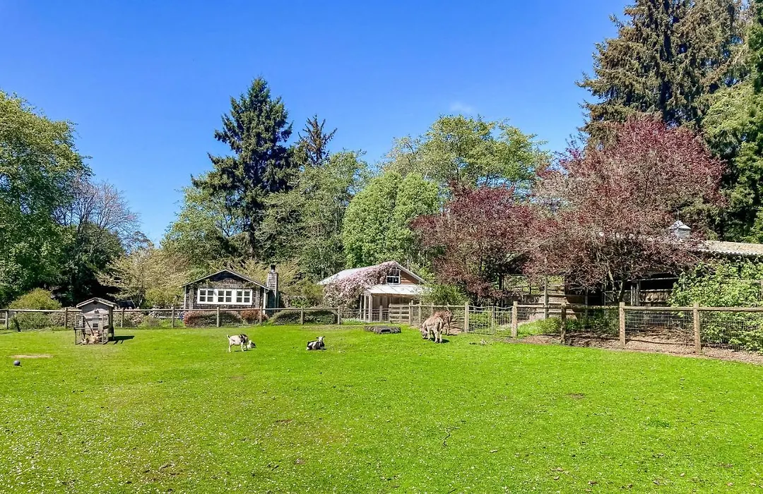 Seawoods Cottage-1