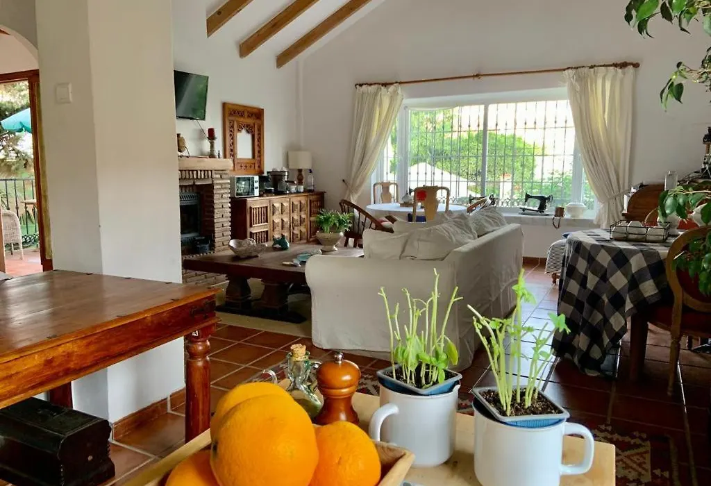 At Home In Malaga Stay - Solo Travellers-1