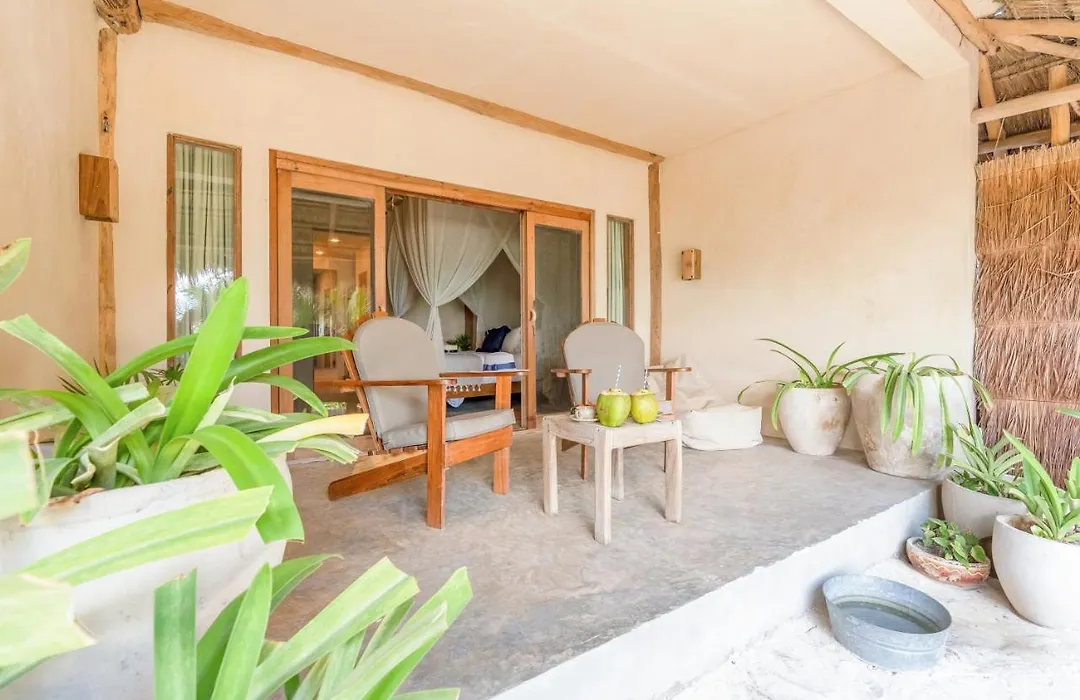 Ahau Beachfront Tulum Hotel (Adults Only)-1
