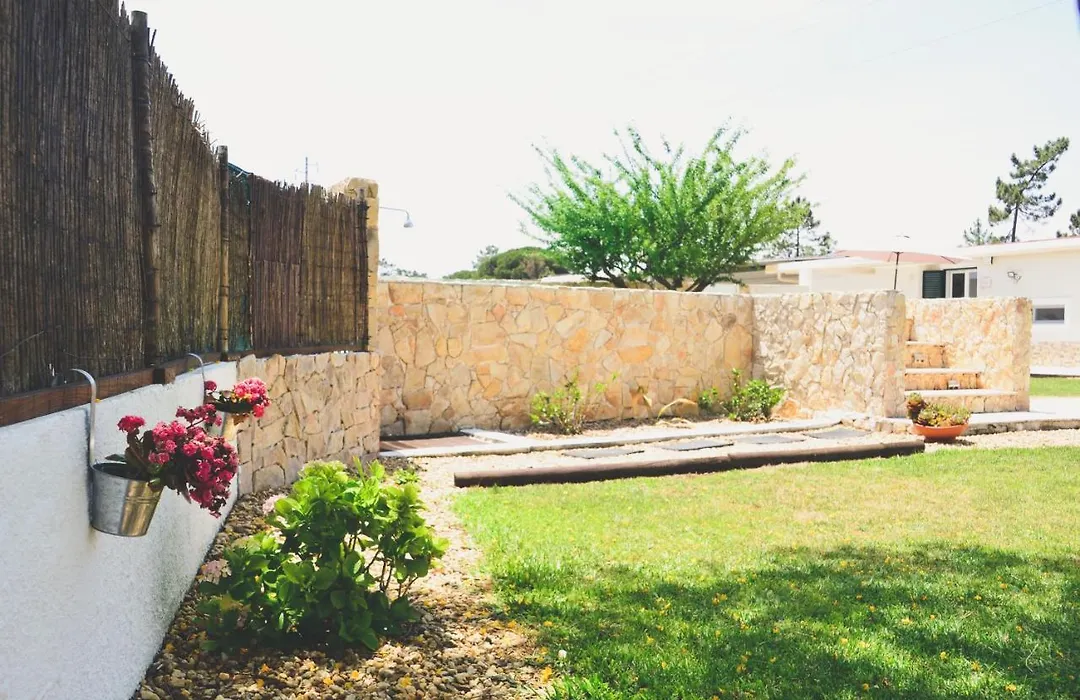 Tree House - Casa Figueira-1