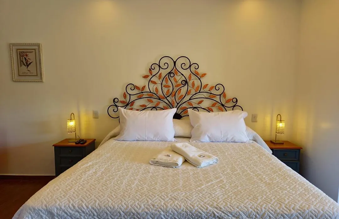 Hotel Villa Greenberg-1