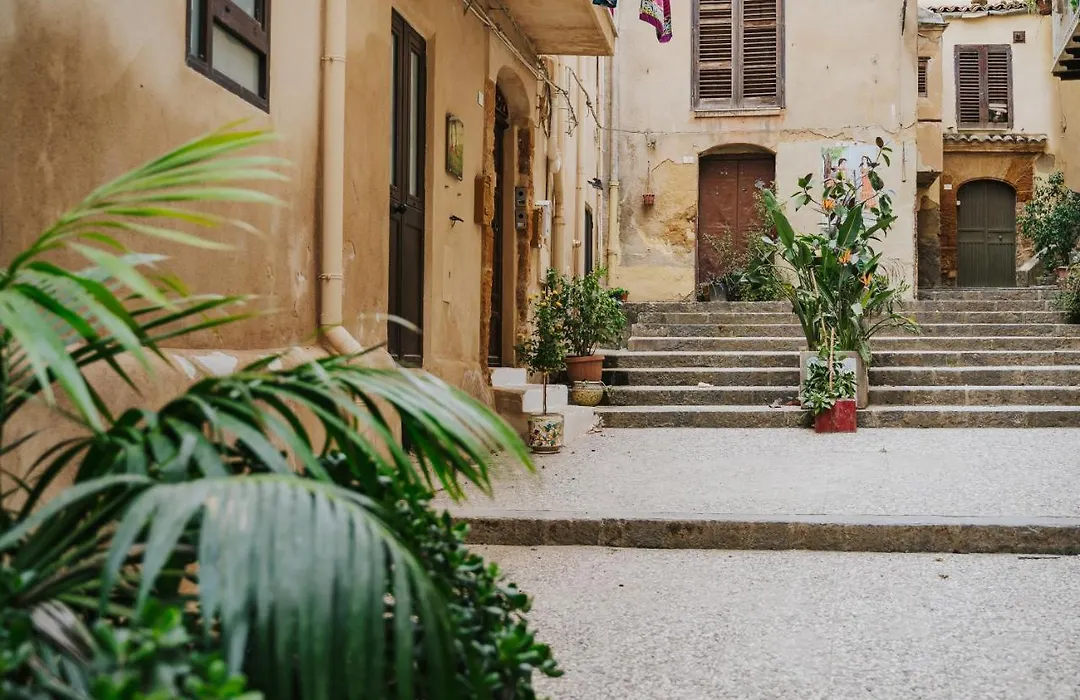 Il Meraviglioso Mondo di Amélie-1