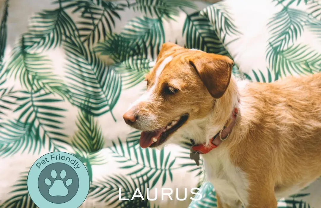Laurus Hotel-1