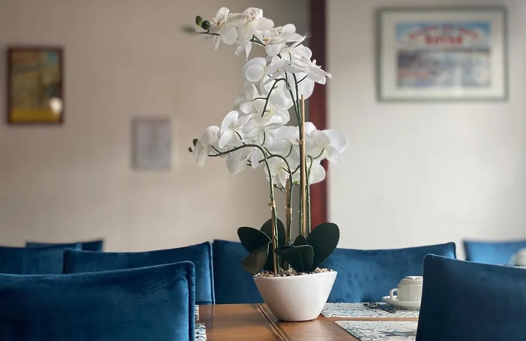 Hotel le Pasteur-1