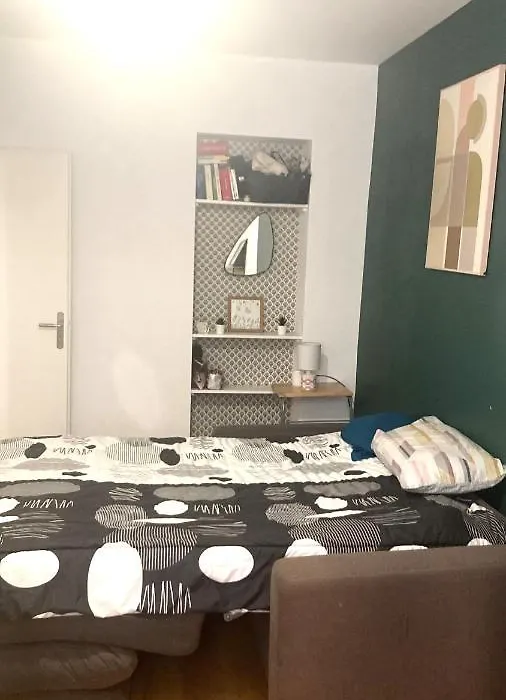 Chambre En Appartement Haussmannien En Centre Ville-1