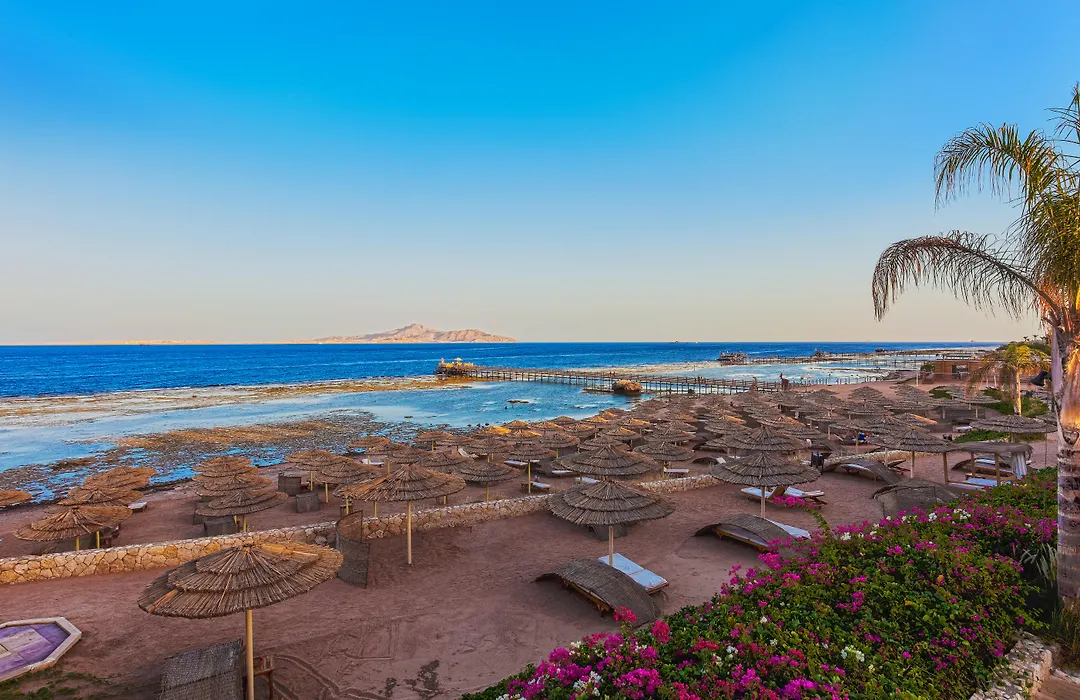 Cleopatra Luxury Resort Sharm El Sheikh (Adults Only)-1