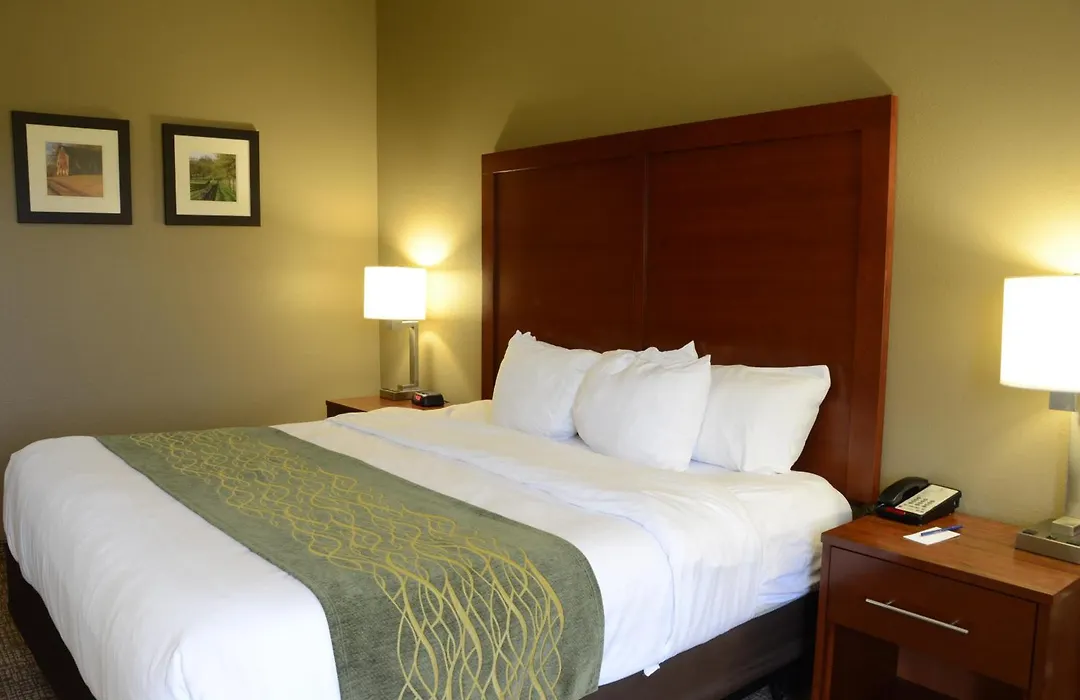 Comfort Inn & Suites Cave City-1
