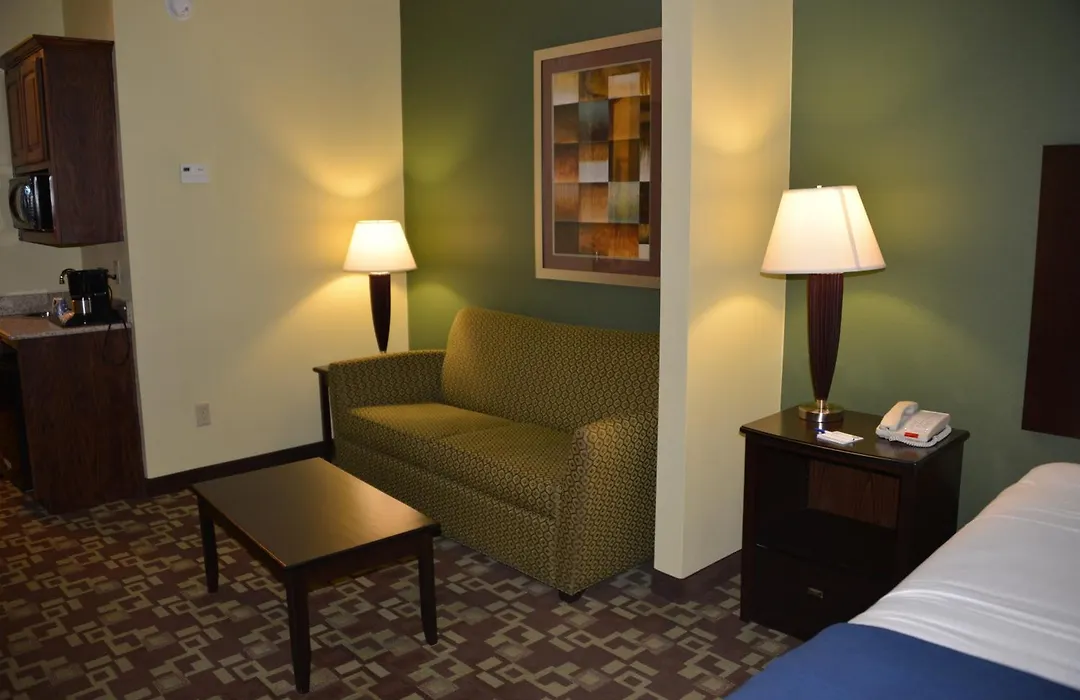 Holiday Inn Express Hotel & Suites Dumas By Ihg-1