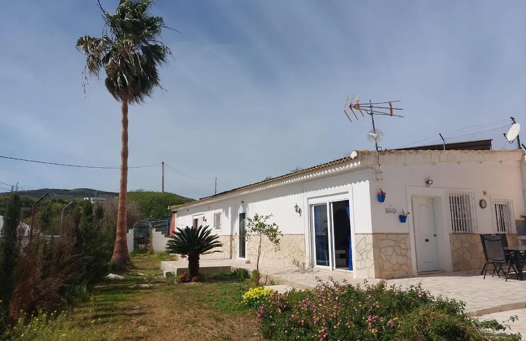 La Rana Azul-1