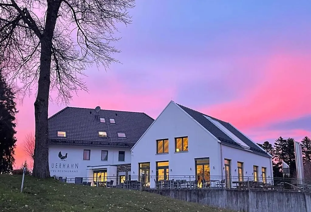 Auerhahn Nest-1