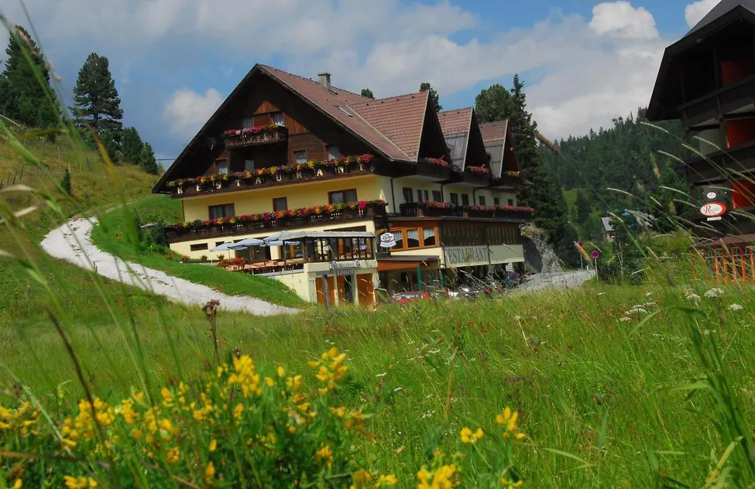 Hotel Turracherhof-1