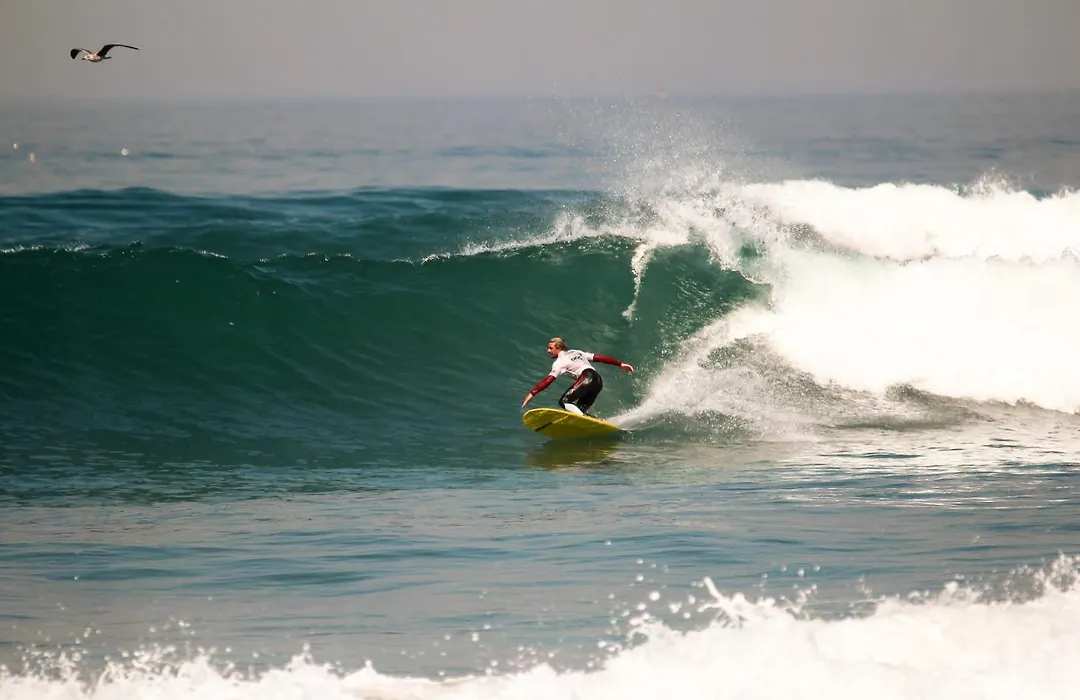 Surfivor Surf Camp-1