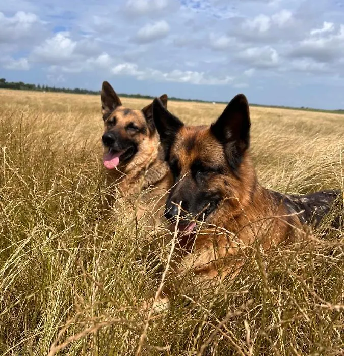 Wandelen In Zeeland-1
