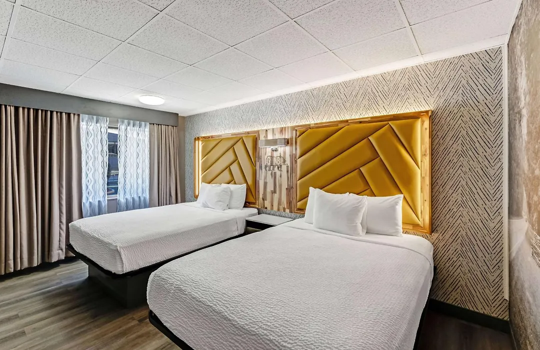 The Wander Hotel By Wyndham-1