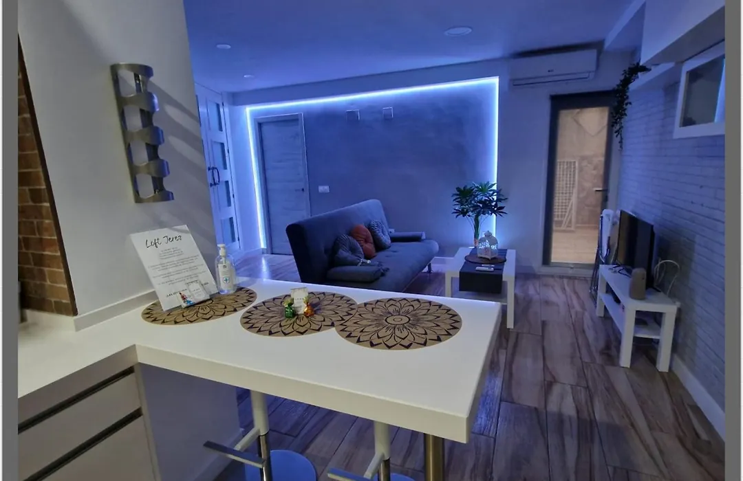 Loft Jerez-1