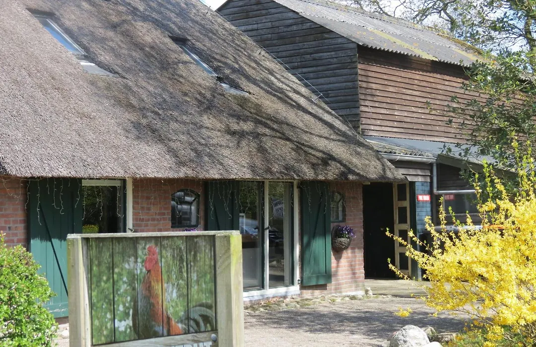 B&B de Berghoeve-1