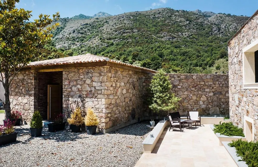 Kyrn Flor - Domaine Sant Antone-1