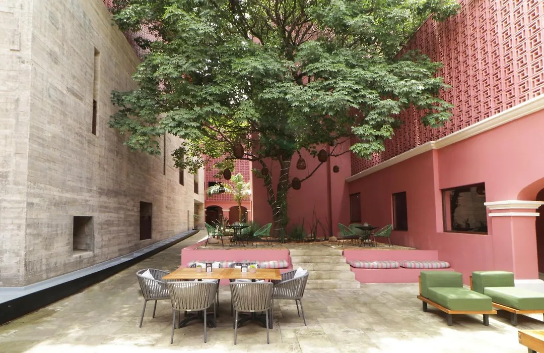 City Centro By Marriott Oaxaca-1