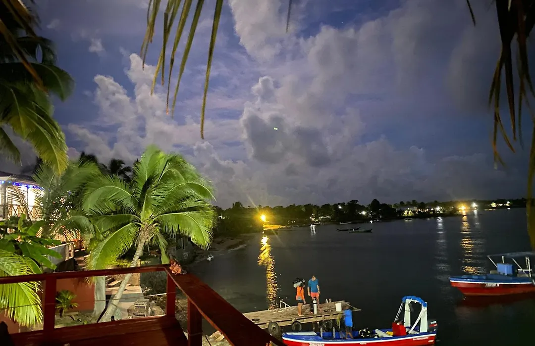 Las Palmeras Oceanview Hotel And Dive Center-1