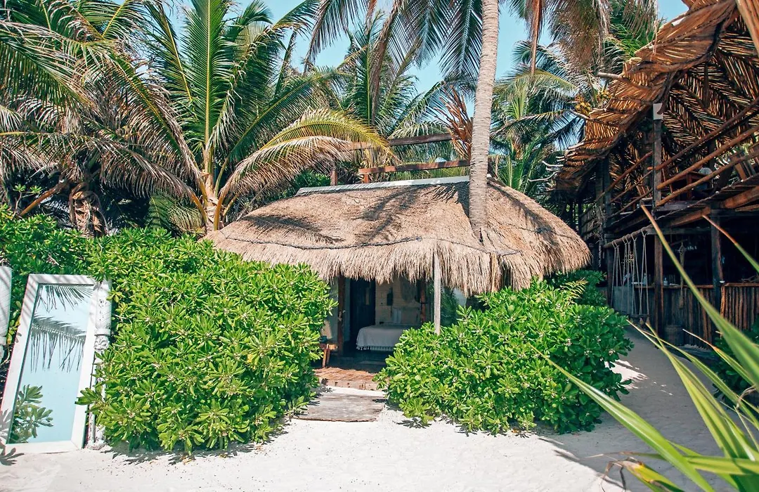 Orchid House Tulum Beach (Adults Only)-1