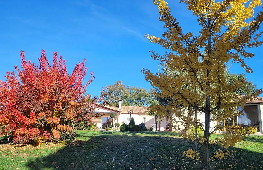LE CLOS CASTEL -Chambre d'hôtes - Gîte équipé-1