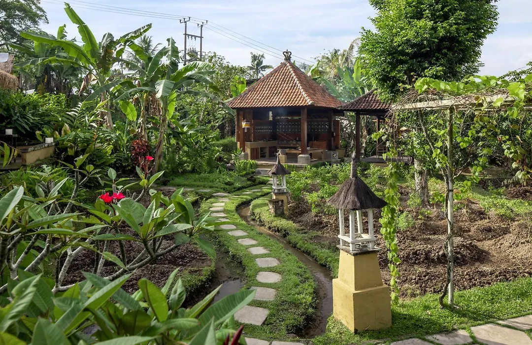 Wapa Di Ume Ubud-1