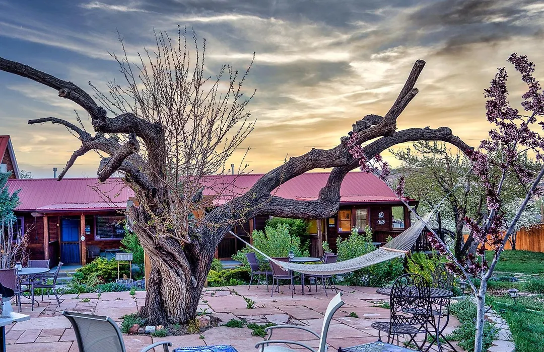 The Loubird Inn-1