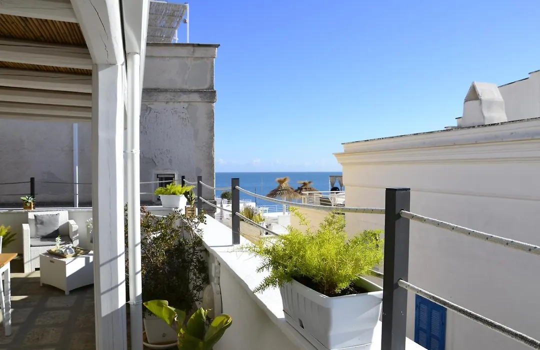 Carpe Diem B&B E Case Vacanza-1