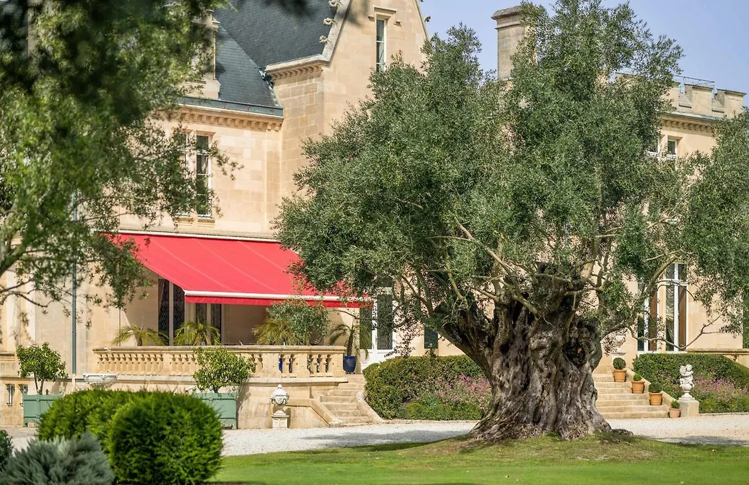 Château Pape Clément-1