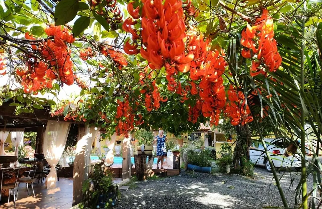 Pousada Cantinho de Casa-1