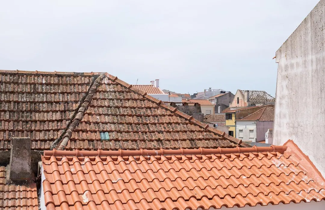 Ó da Casa-1