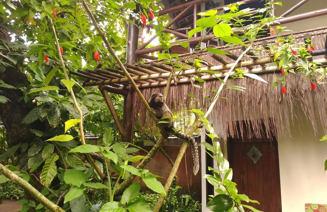 Pousada Fruta Pão-1