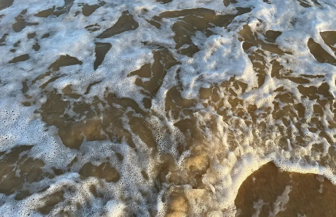 Chales Mata Da Praia Corumbau-1