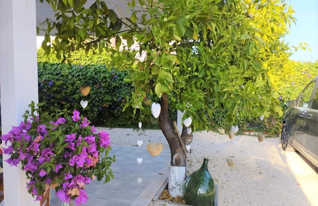 B&B Villa Nancy-1