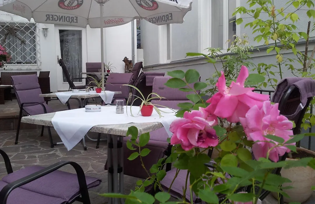 Hotel Krone am Park-1