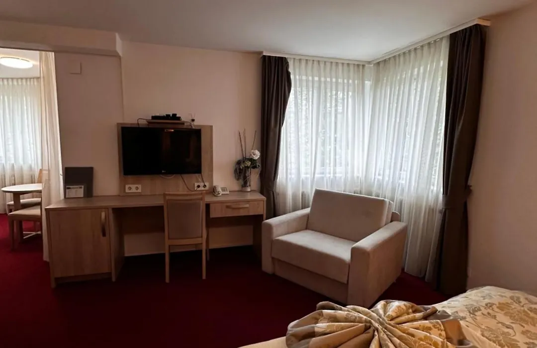 Hotel Sonne-1